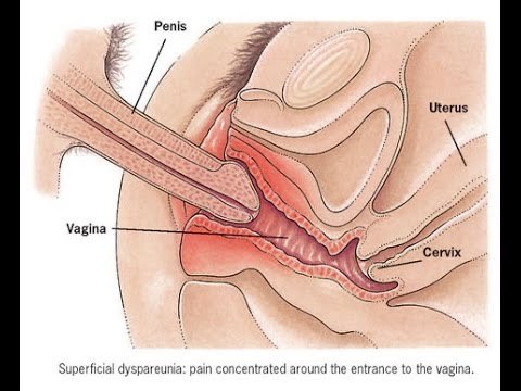 Divine Manhood | Self Improvement tweet media
