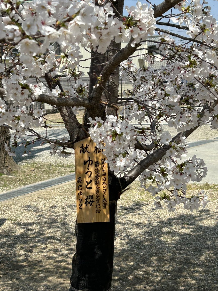 ころちゃん tweet media