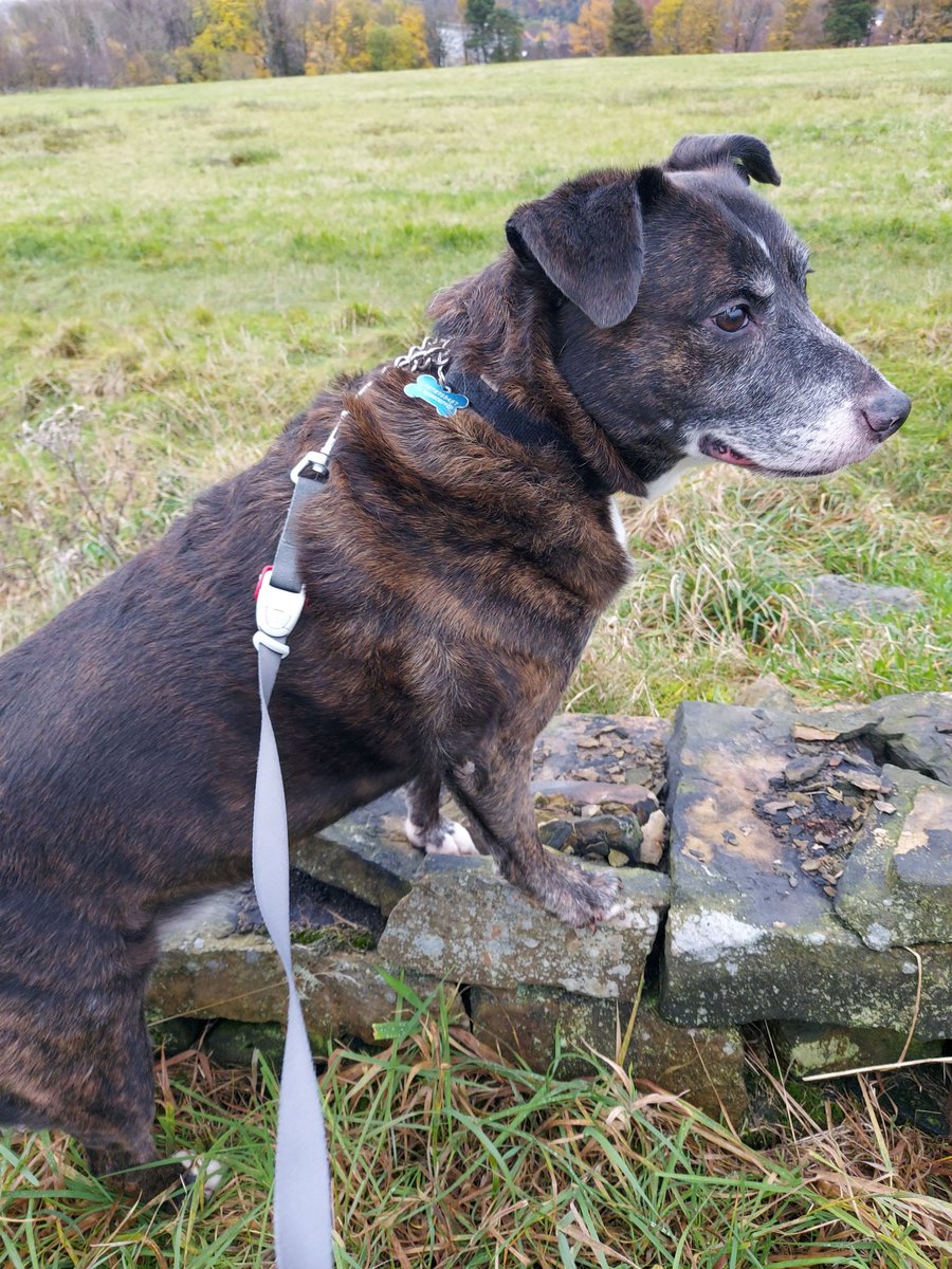 Gary Wood tweet media