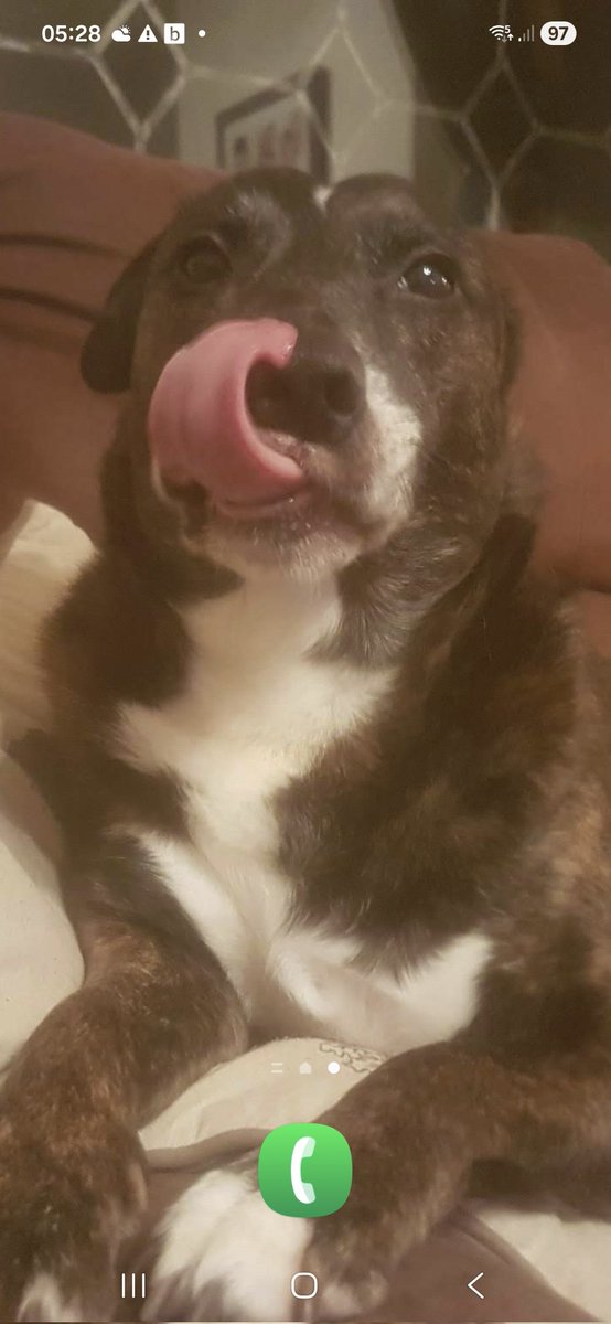 Gary Wood tweet media