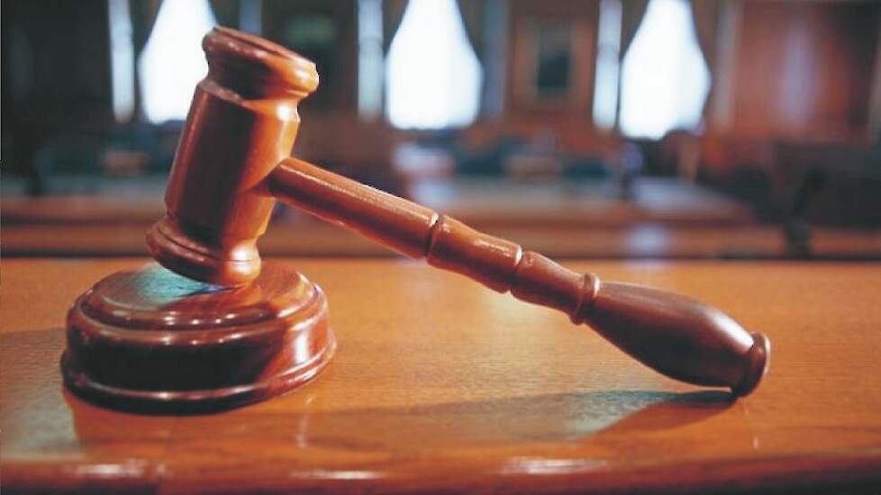 Pigbusiness.nl tweet media