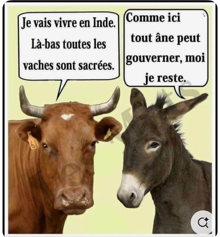 Isabelle Balkany tweet media