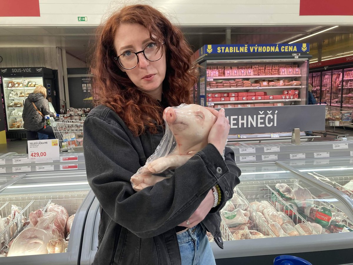 hisame•氷雨 tweet media