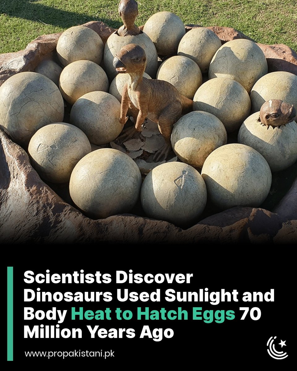 ProPakistani tweet media