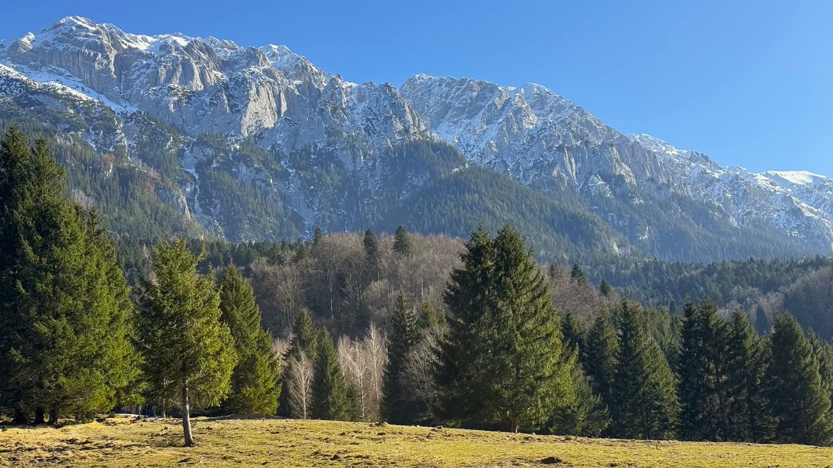 Travel_2Romania's tweet image. Raiul brândușelor în Munții Piatra Craiului, Plaiul Foii, Brașov, martie 2026 Filmul traseului Zărnești - Schitul de la Colțul Chiliilor - Refugiul Diana - Plaiul Foii  #munte #mountains #flowers #photography #romania m.youtube.com/watch?v=WvrmiF…