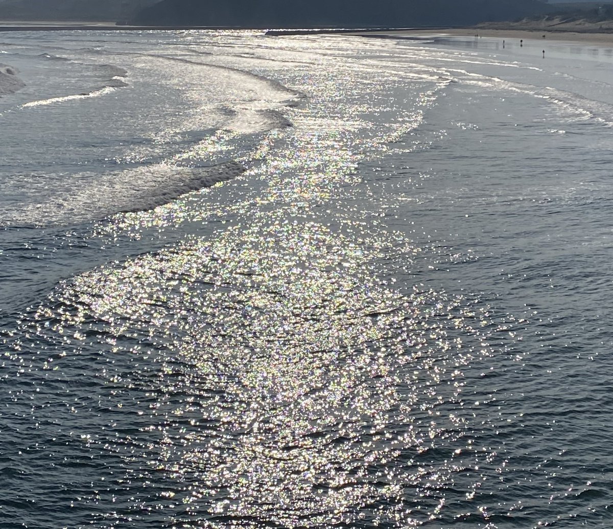 lucía ౨ৎ tweet media