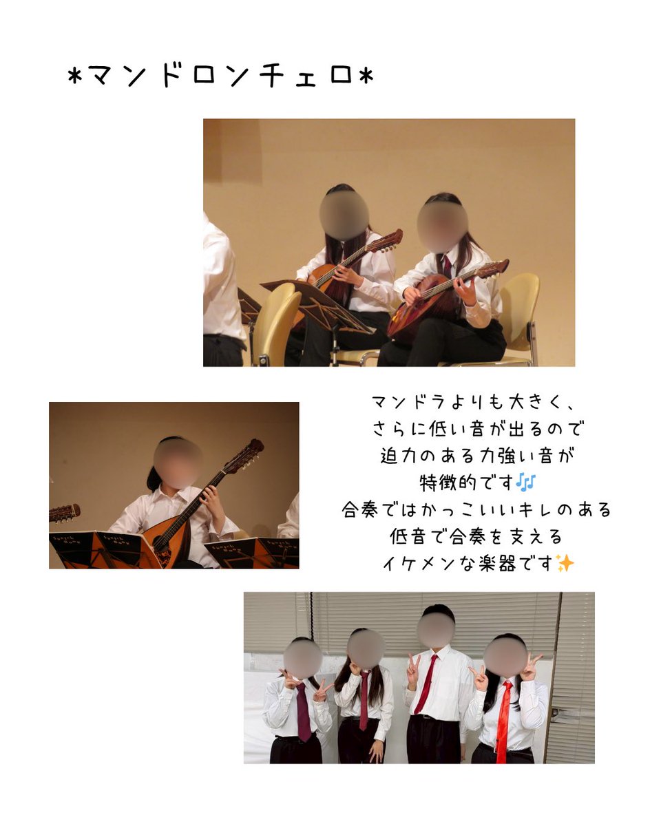 kumc_mandolin's tweet photo. みなさんこんにちは！お久しぶりです😊
KUMCではマンドリン、マンドラ、チェロ、クラシックギター、コントラバスの5つの楽器を用いて演奏しています！

今日はそれぞれの楽器を紹介していきます🎶

 #春から金大  #金沢大学 #マンドリンサークル https://t.co/homUJTXSo6