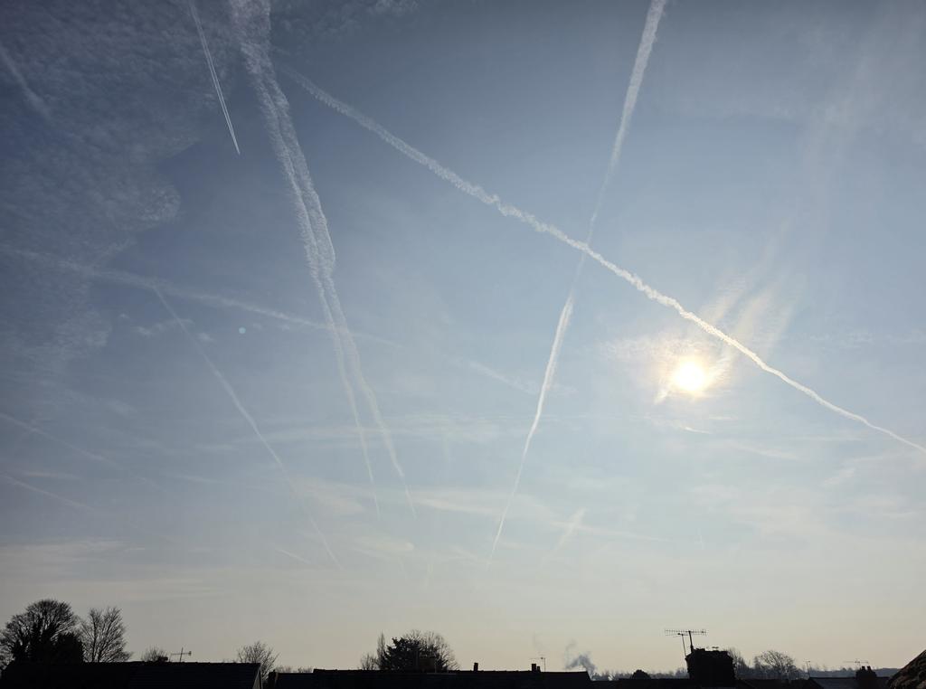 Anti Lockdown Alliance(GLOBAL) tweet media