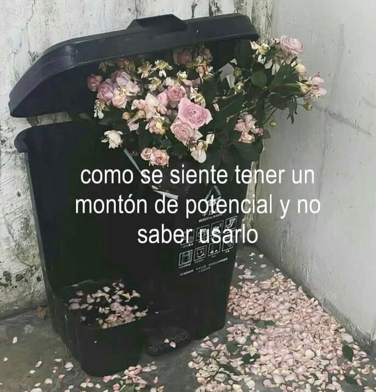 Lonely🥀 (@angelo_uf) on Twitter photo 