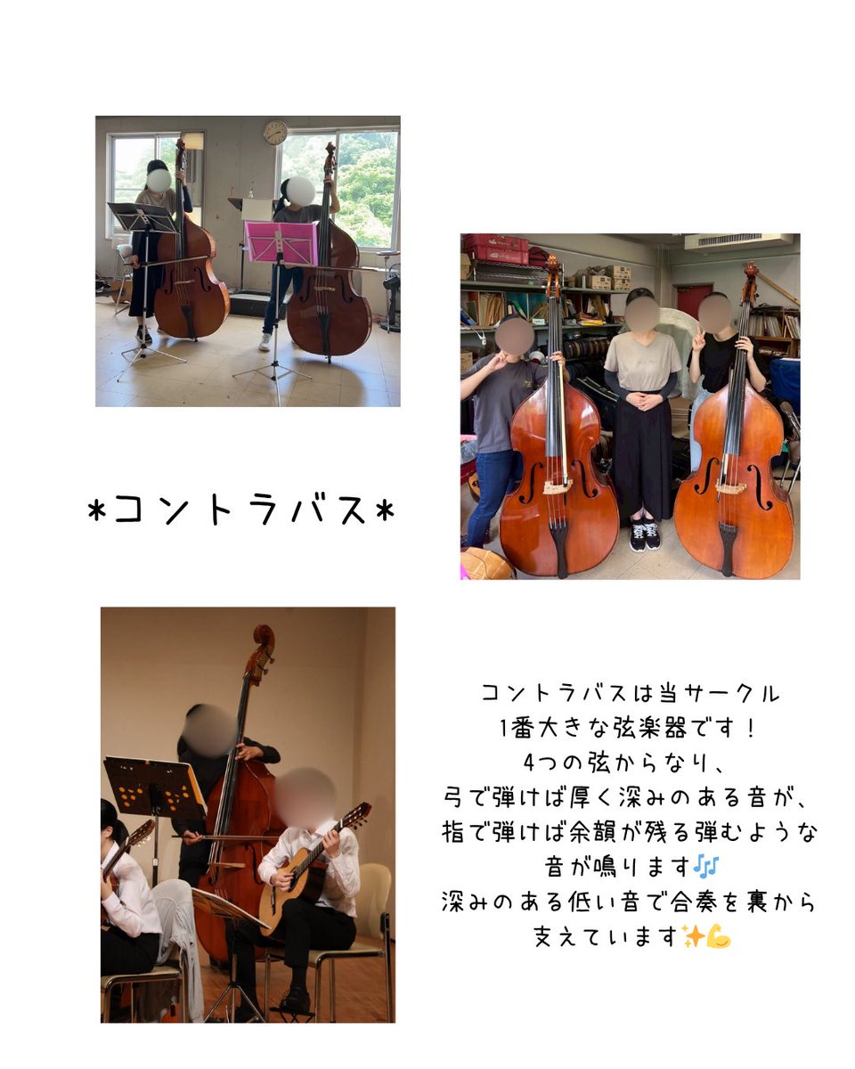 kumc_mandolin's tweet photo. https://t.co/p1mB7XalQj