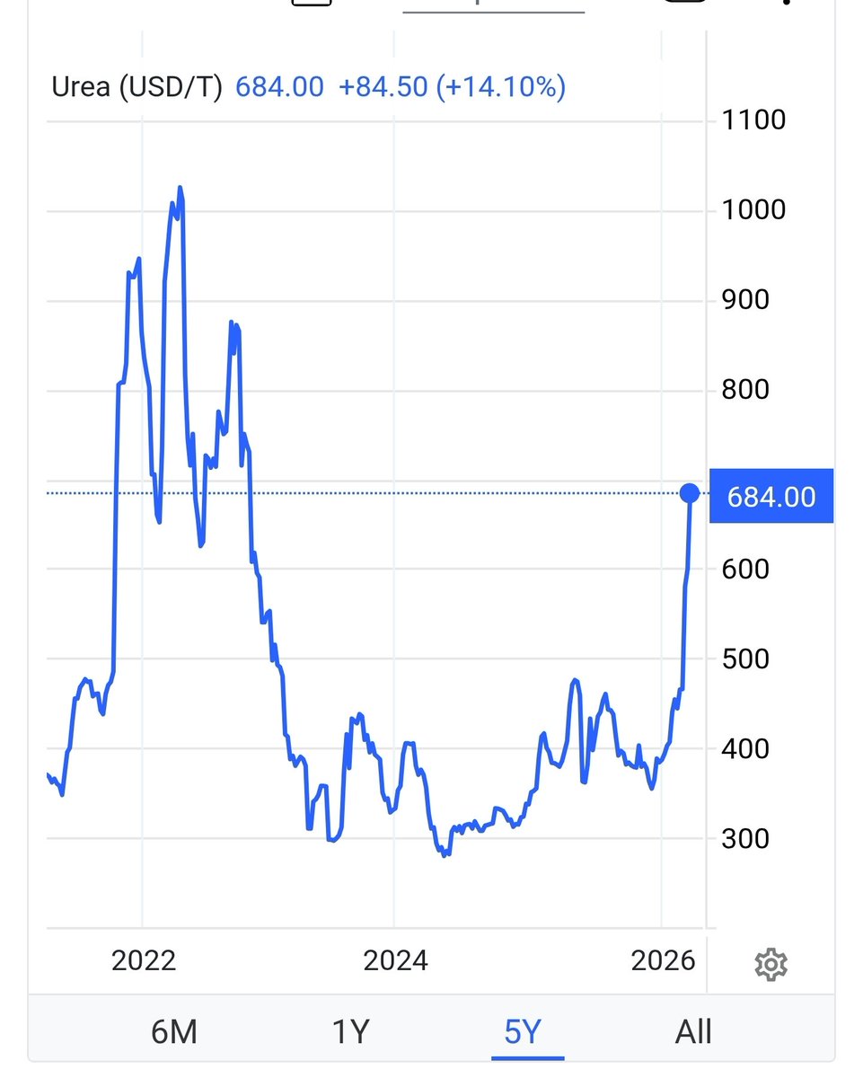 The Bull Whisperer tweet media