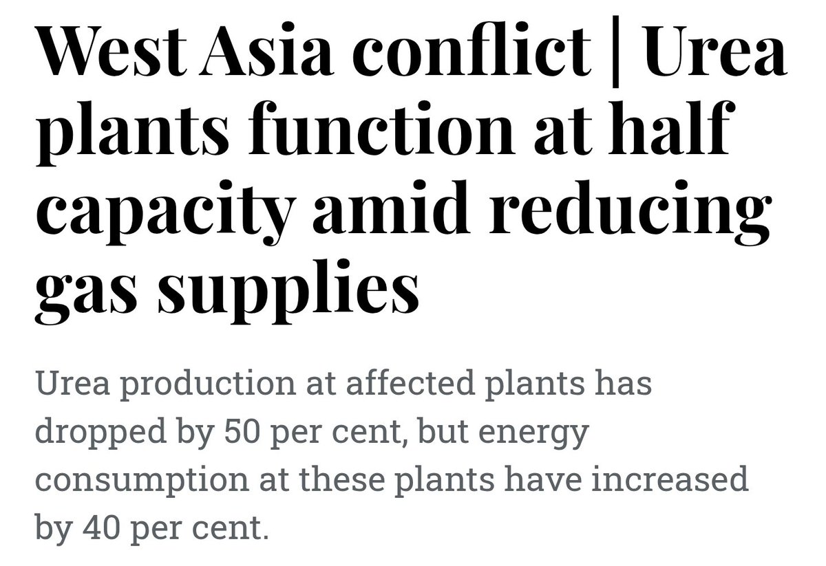 The Bull Whisperer tweet media