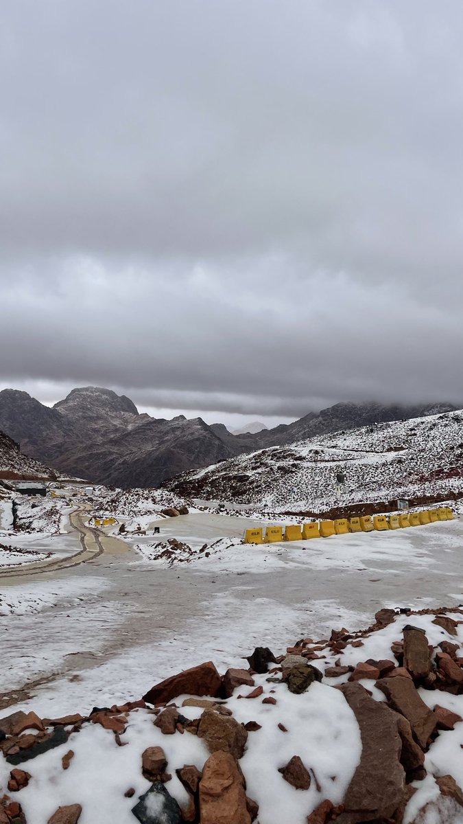 faisal | tweet media