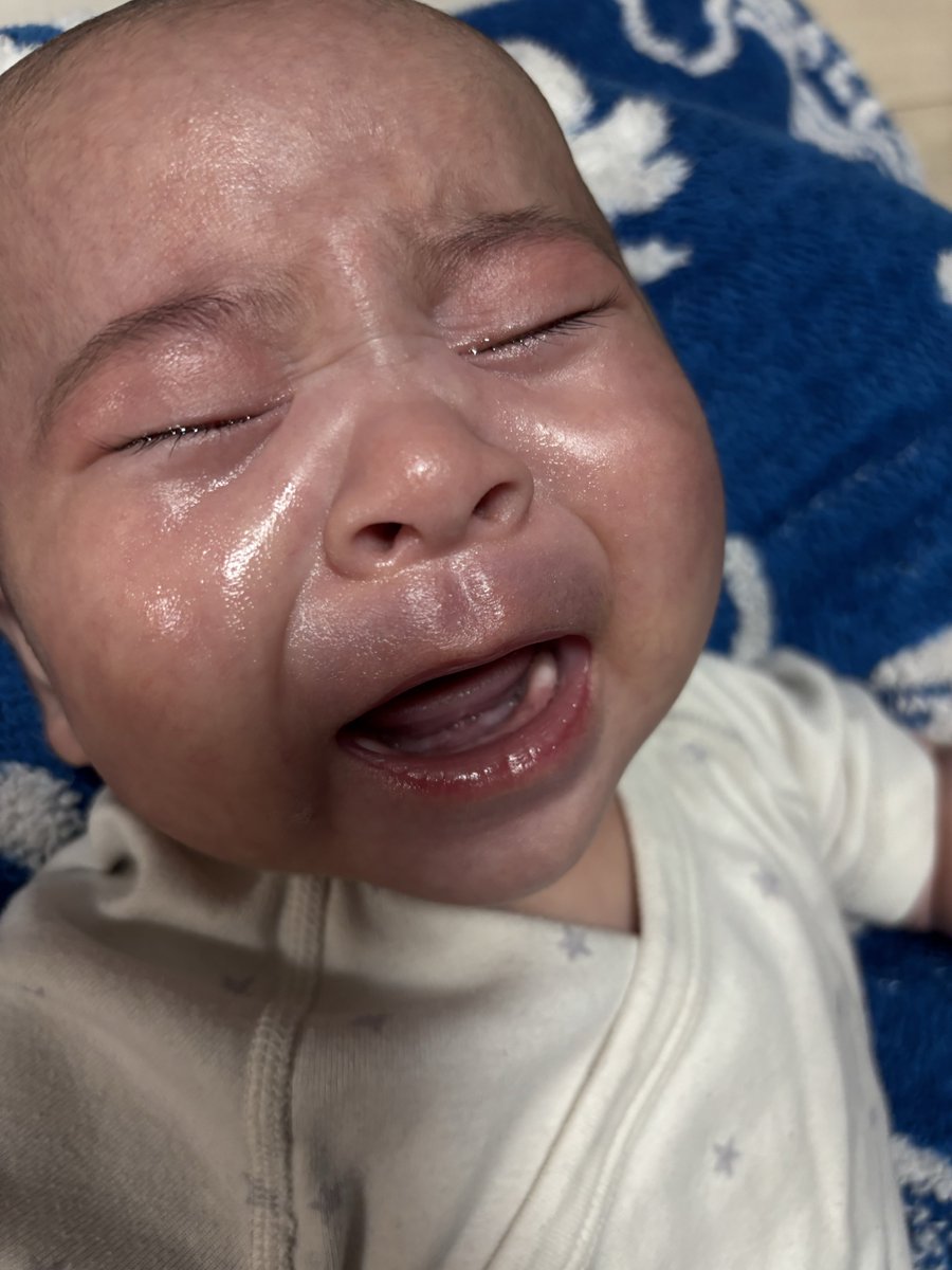 蝦介() tweet media