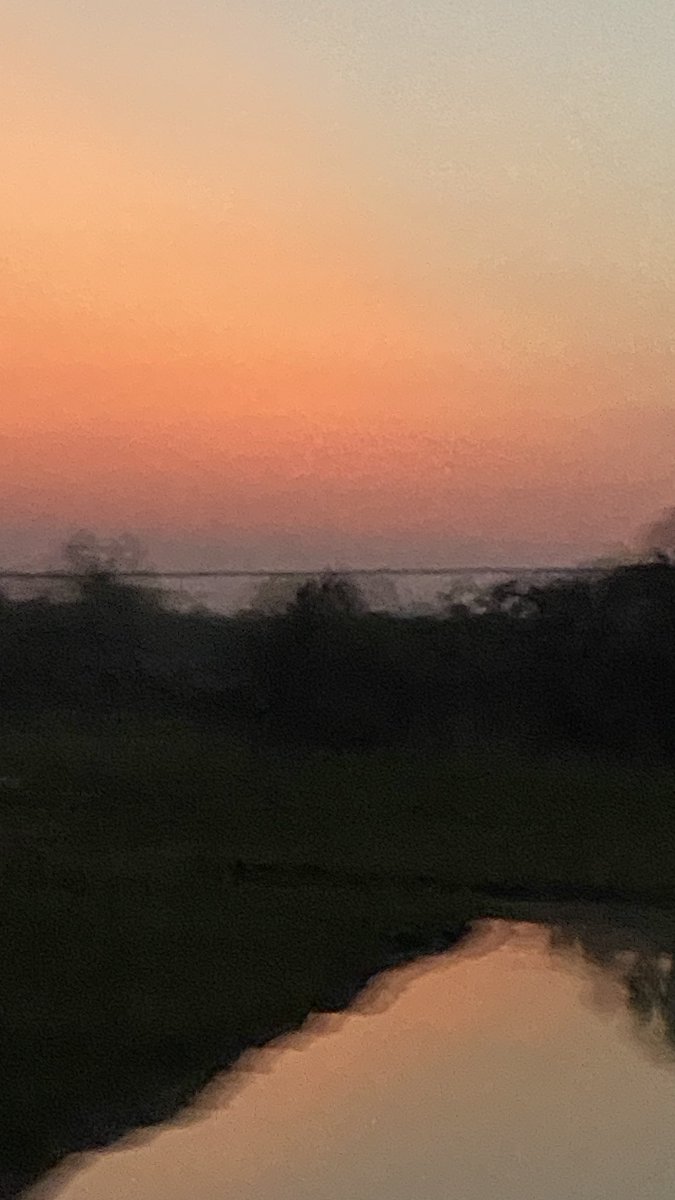 The sun dips below the horizon, taking the weight of the world with it.