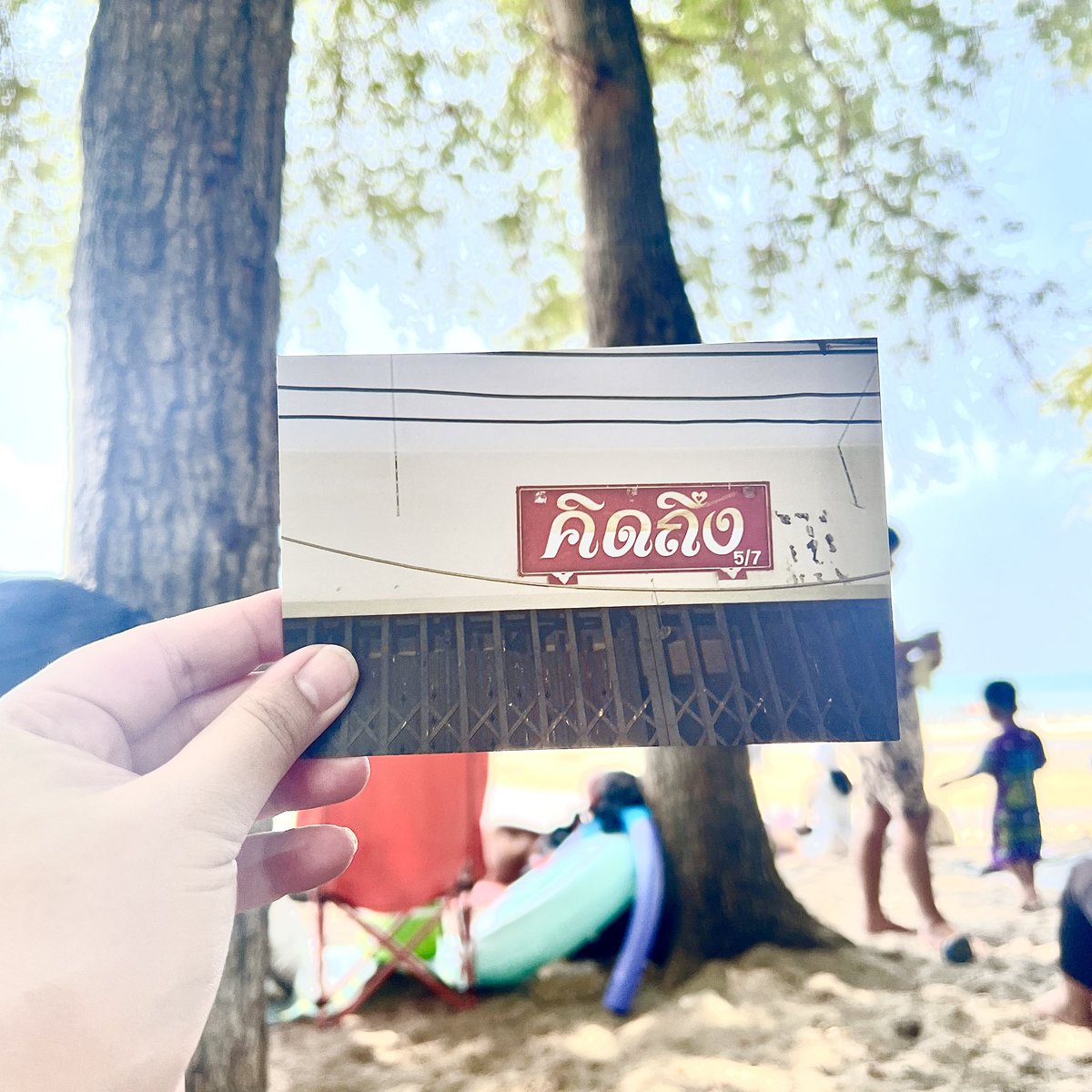 ‎ ⋆౨ৎ˚ความฝัน ࣪⋆𐙚₊♡ 🐶ᩚ ⋆🐾° tweet media