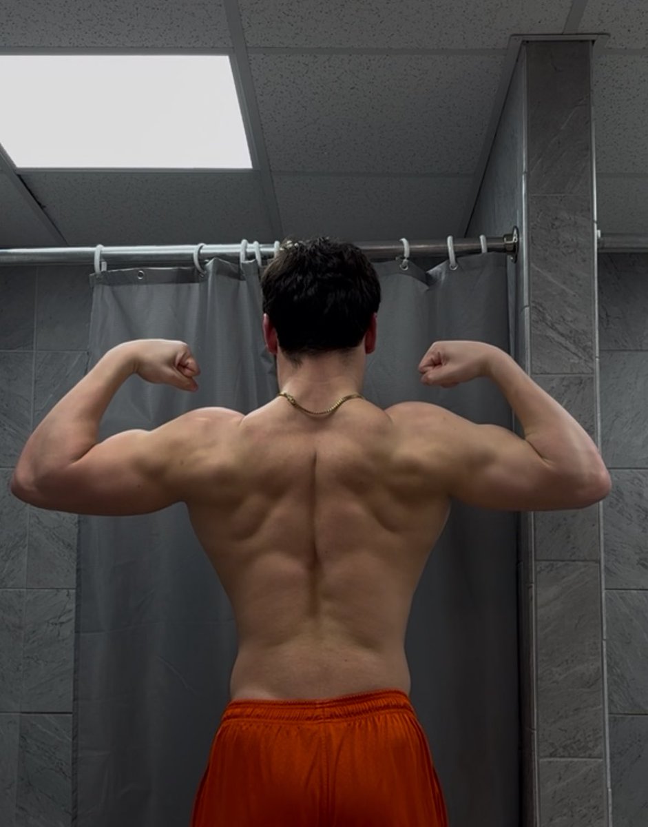 Phoenix Diurno tweet media