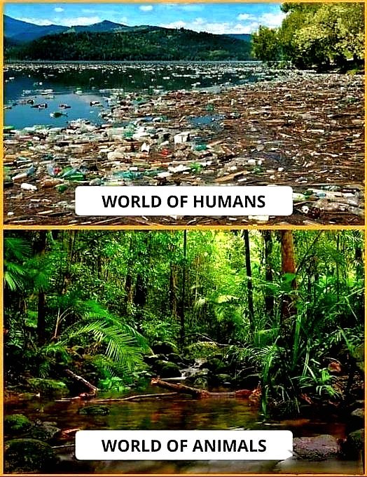 Thursday tweet media