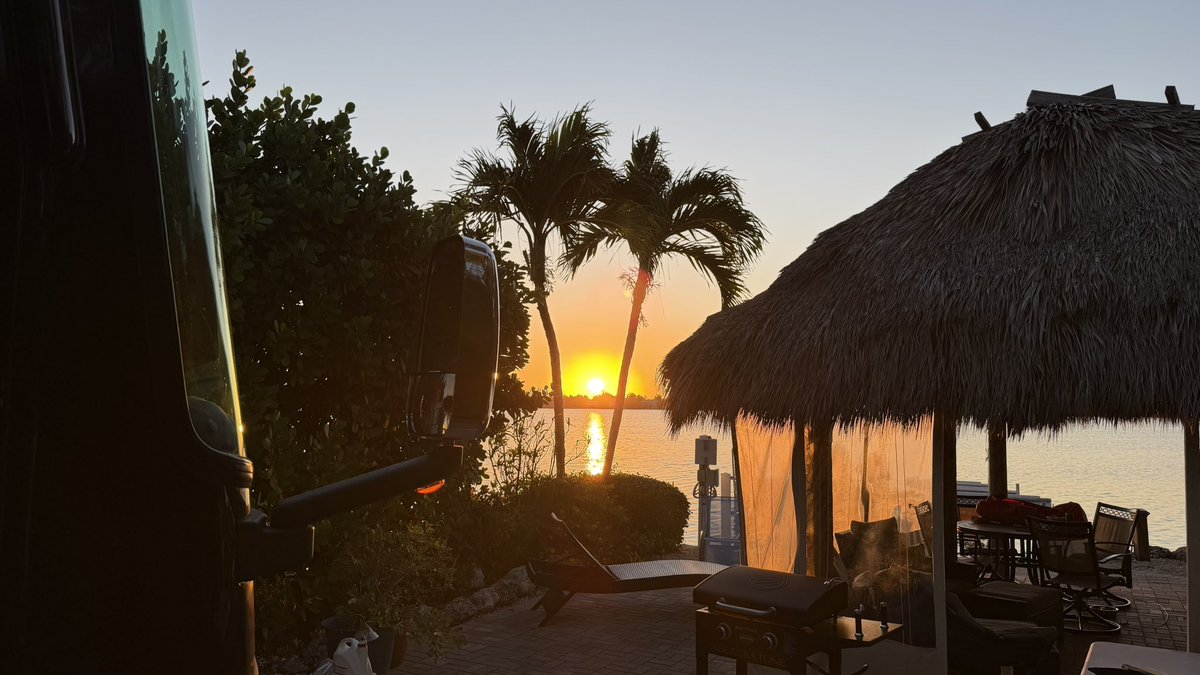 DesertDweller_ROAR_4_A_CURE_4_HD tweet media