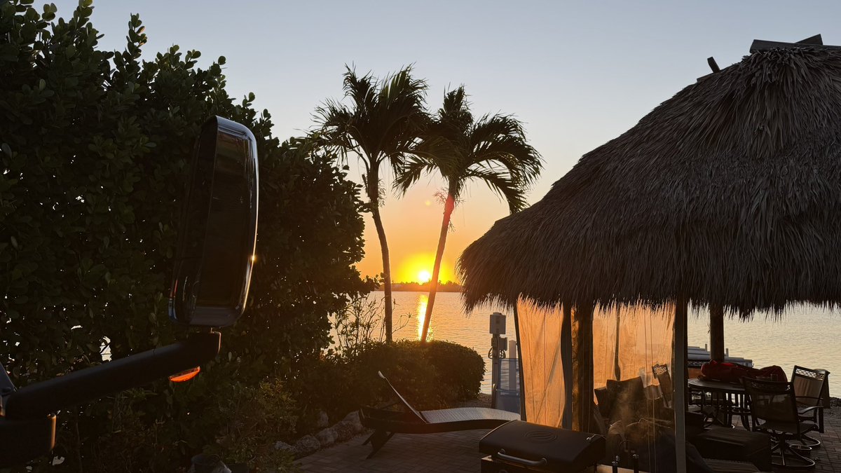 DesertDweller_ROAR_4_A_CURE_4_HD tweet media