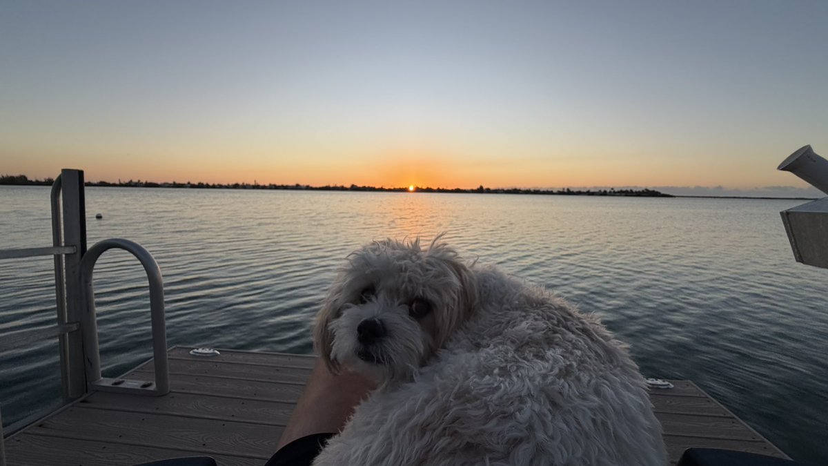 DesertDweller_ROAR_4_A_CURE_4_HD tweet media