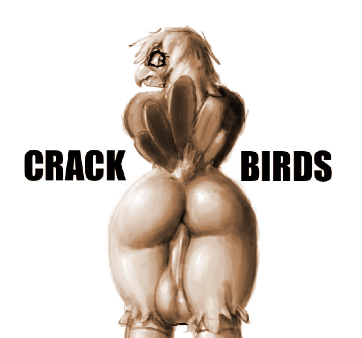 shybird 🔜 FWA tweet media