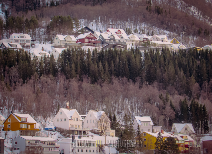 Yellow14Photog1's tweet photo. Would you live here? The famous stacked houses of Narvik
.
More here: https://t.co/fiUw8YMMQz
.
#norway #wallart #travelphotography #landscapephotography #wallartprint #hdrphoto #visitnorway #lapland #houses #narvik #snow #forest #winter https://t.co/YnH7SXfcZ0