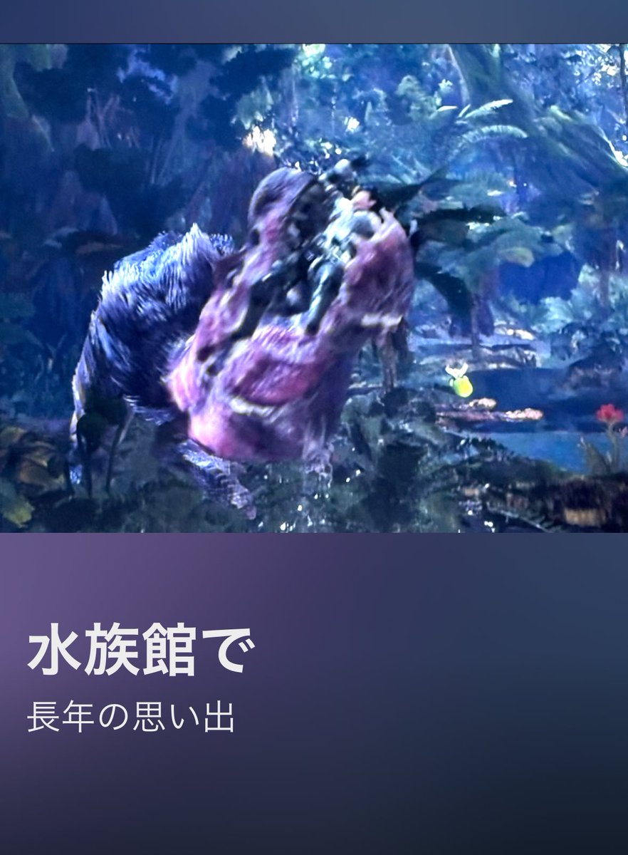 はっかく tweet media