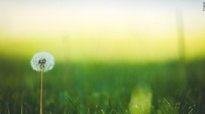 WITN Headlines tweet media