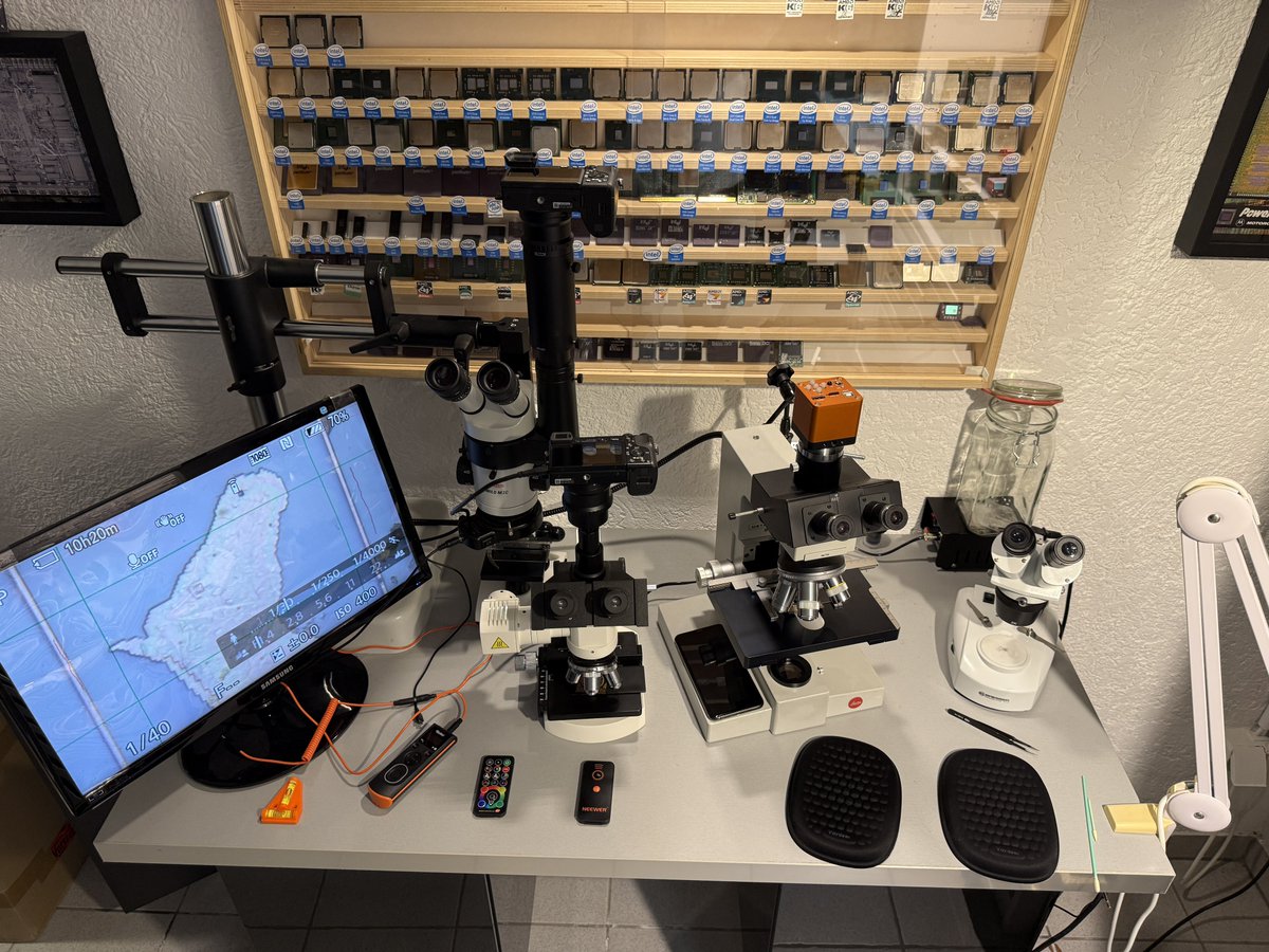 CPU Duke tweet media