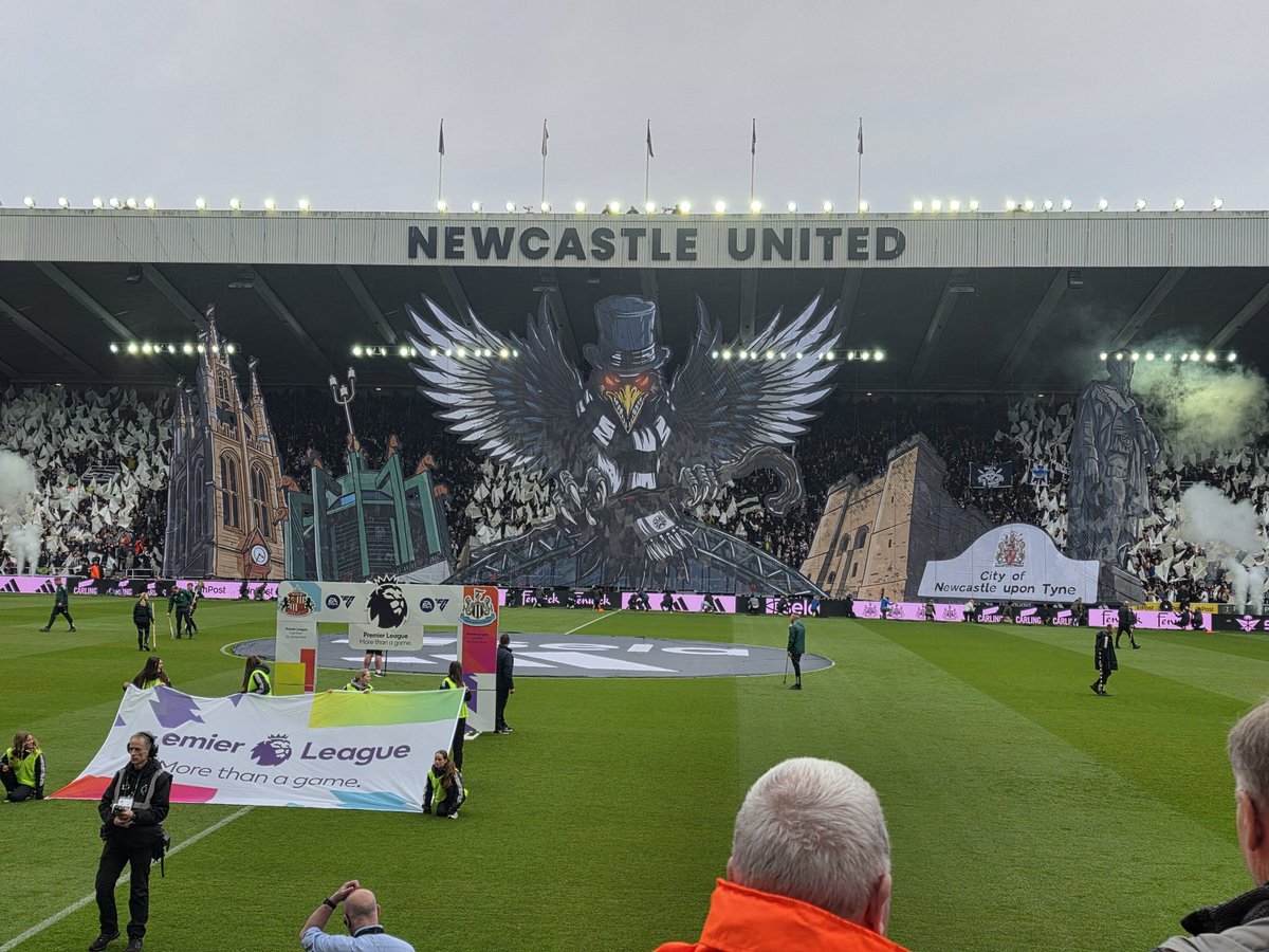 Mark Douglas tweet media