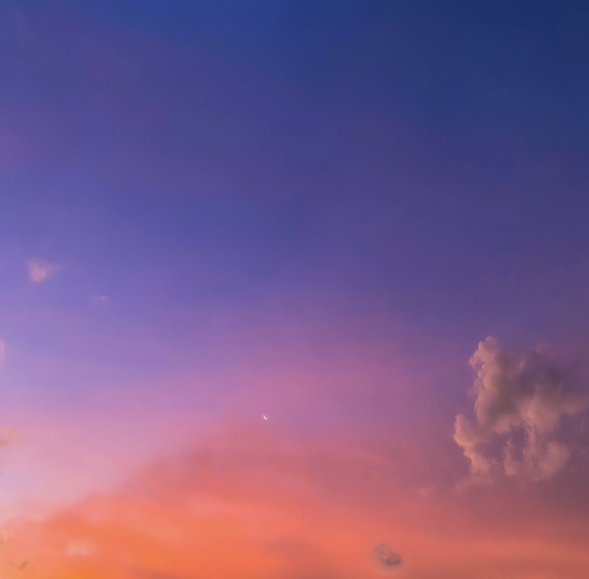 Dawersa Bentala. tweet media