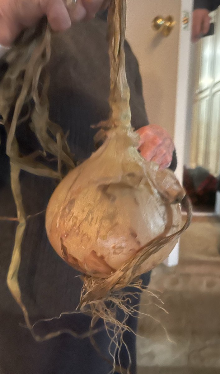 Goofy Newfie tweet media