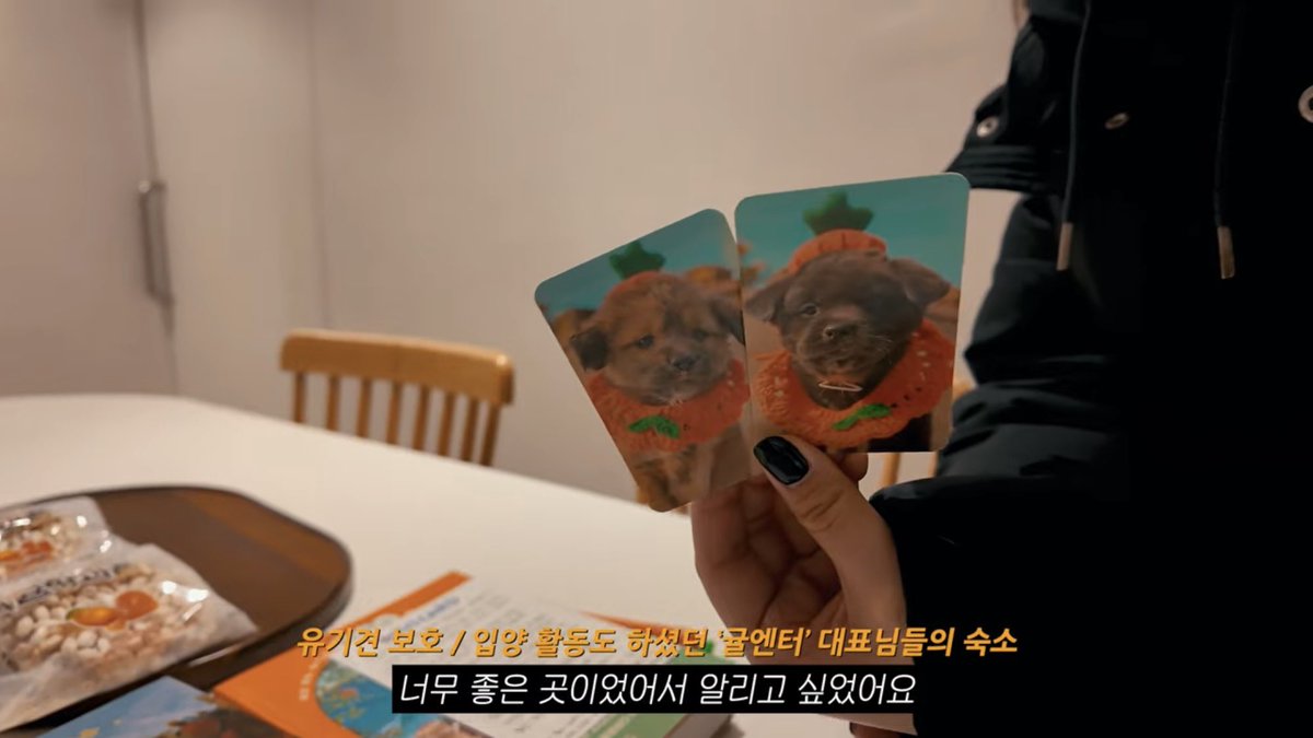 귤엔터 황구윤 반려견 데뷔 준비 중 tweet media