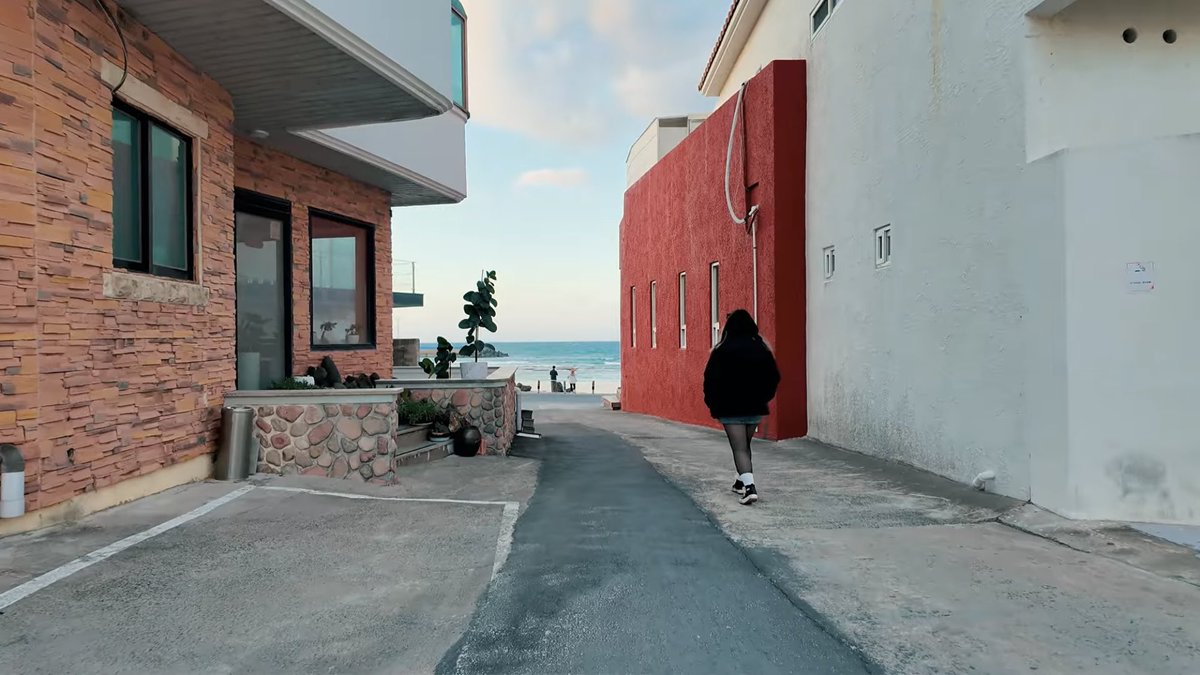 귤엔터 황구윤 반려견 데뷔 준비 중 tweet media