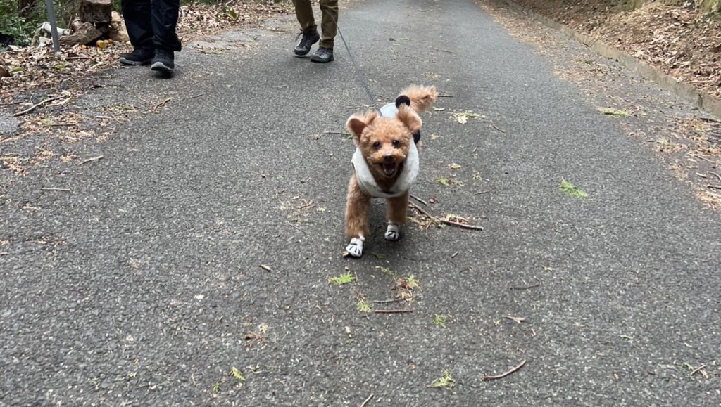 🌸2011.10.11（14歳5ヶ月） tweet media