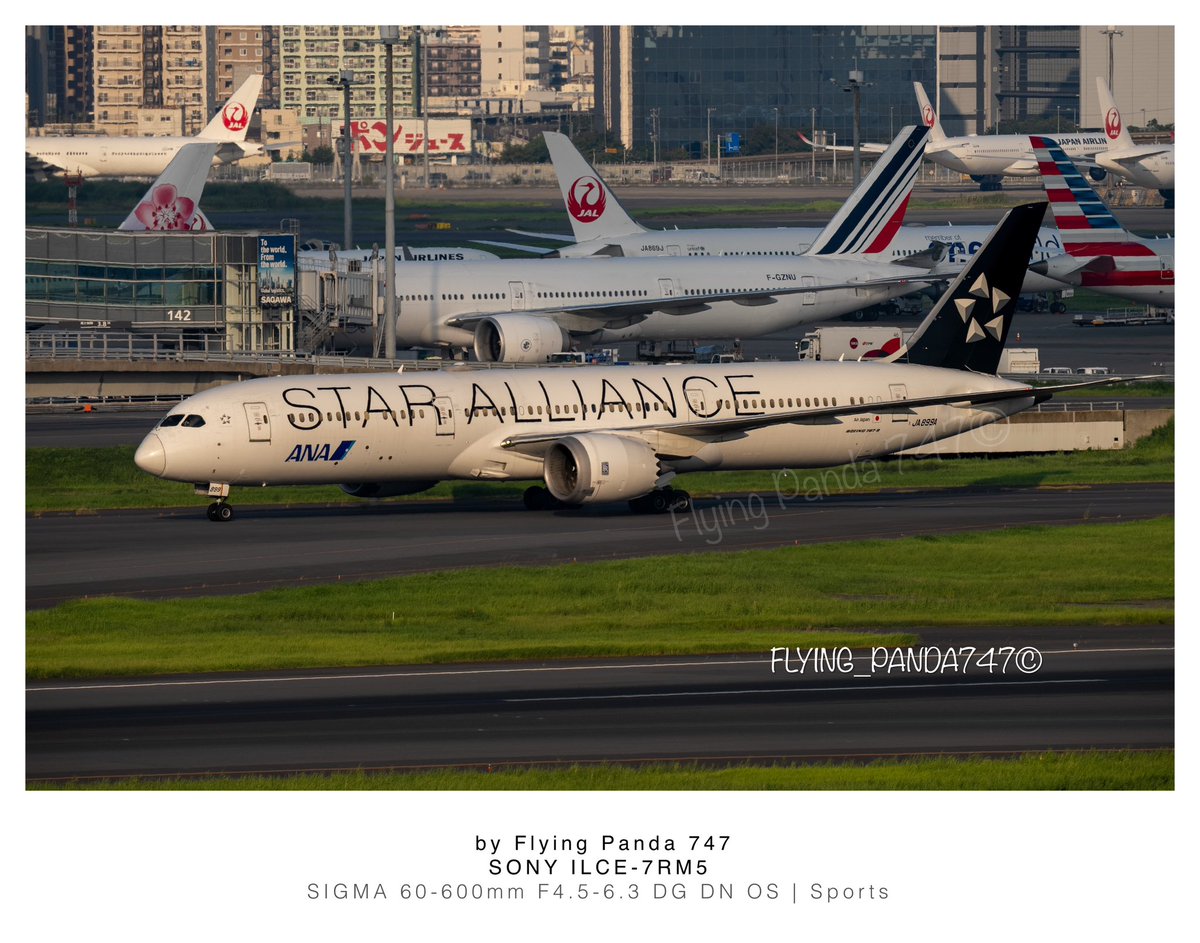 Flying Panda 747 tweet media