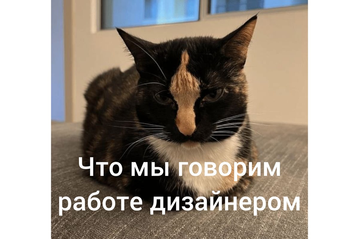 Shampanskij's tweet photo. #designprosmotr https://t.co/nhnyhVSmTd