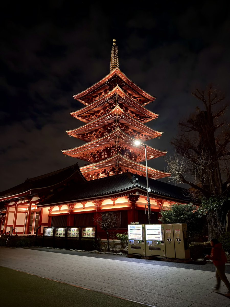 ゆき🌴(なめこ) tweet media