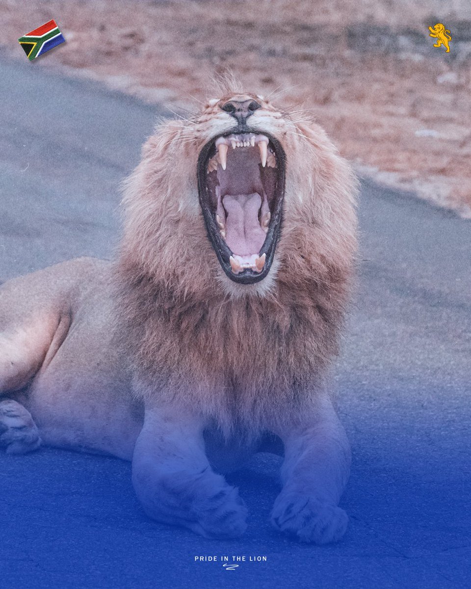 Devon Cricket Foundation tweet media