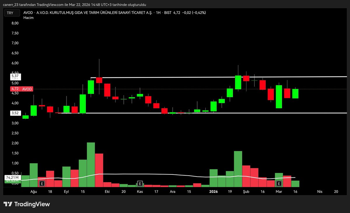 BALİNA PEŞİNDE tweet media