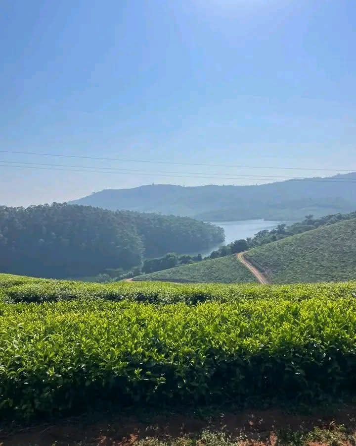 Charter Sights 🌺 tweet media