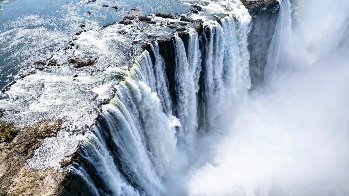 Charter Sights 🌺 tweet media