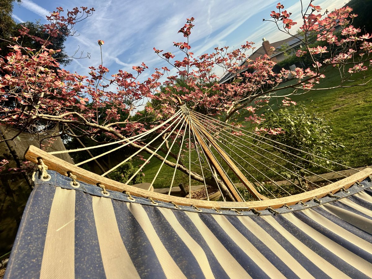 Julie_married_to_Thomas_but_not_a_Thomist tweet media