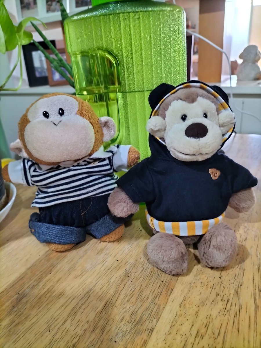 ChrisCsd1's tweet image. #Clothes As promised, here are some members of the family with their new clothes, bought from the Teddy 🧸 House 🏠 Coco has new shorts, Mocha has a new hoodie, Barclay, a new shirt &amp;amp; Cud, some snazzy shorts!