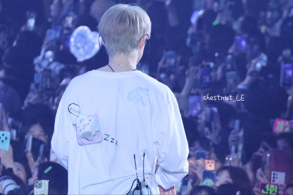 chestnut_LE tweet media