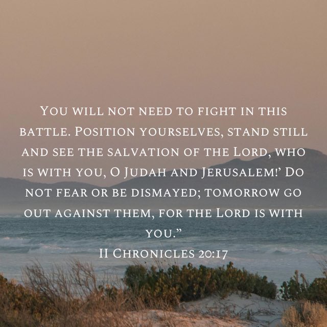 David Olusegun tweet media