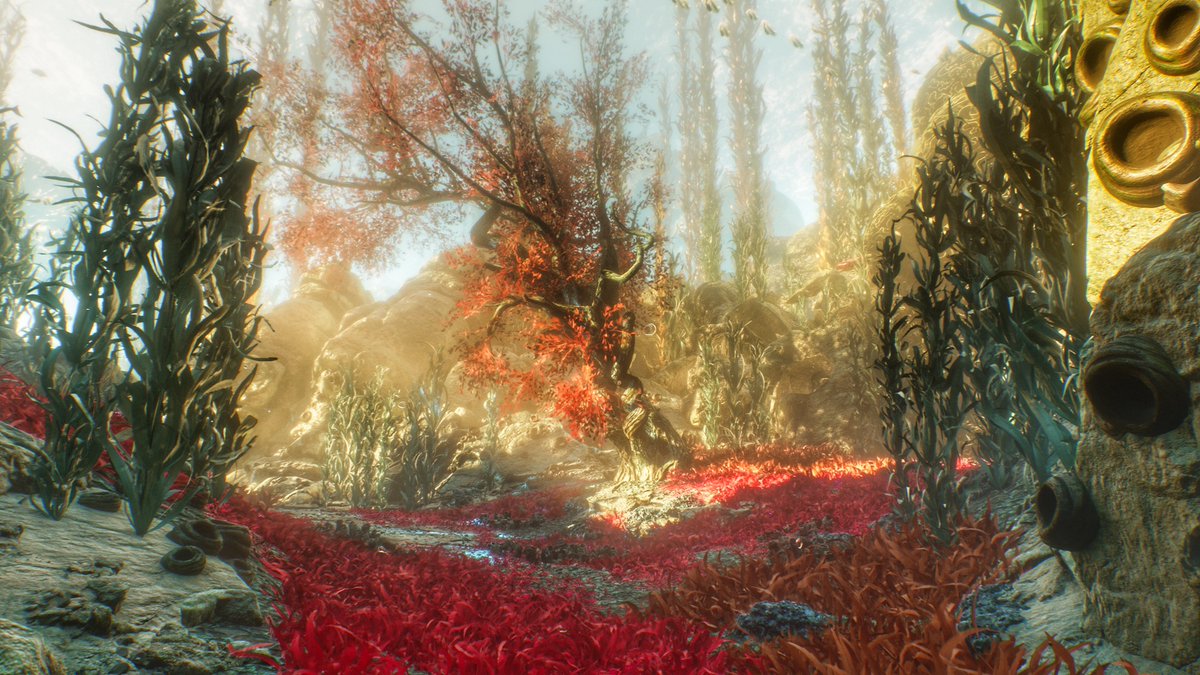 CBVP 📸 Virtual Photography tweet media