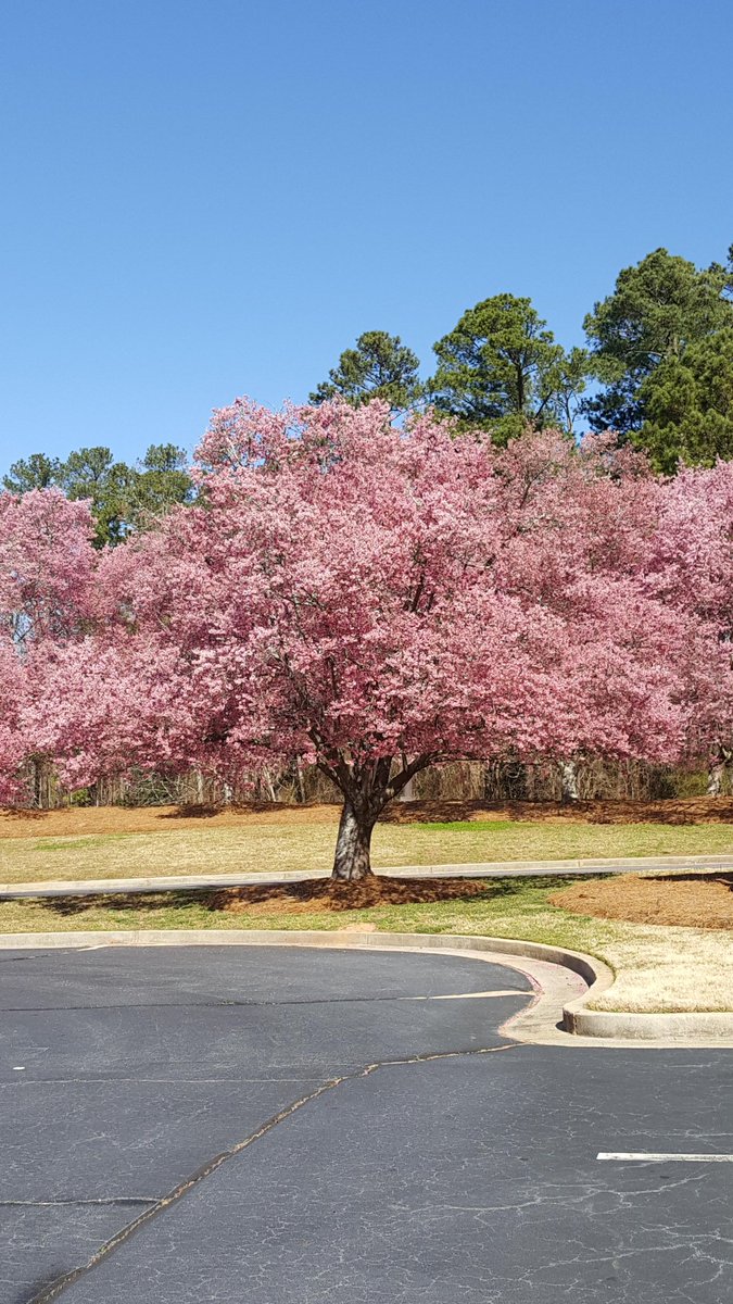 JB_Abner 📚☕️🖋️ tweet media