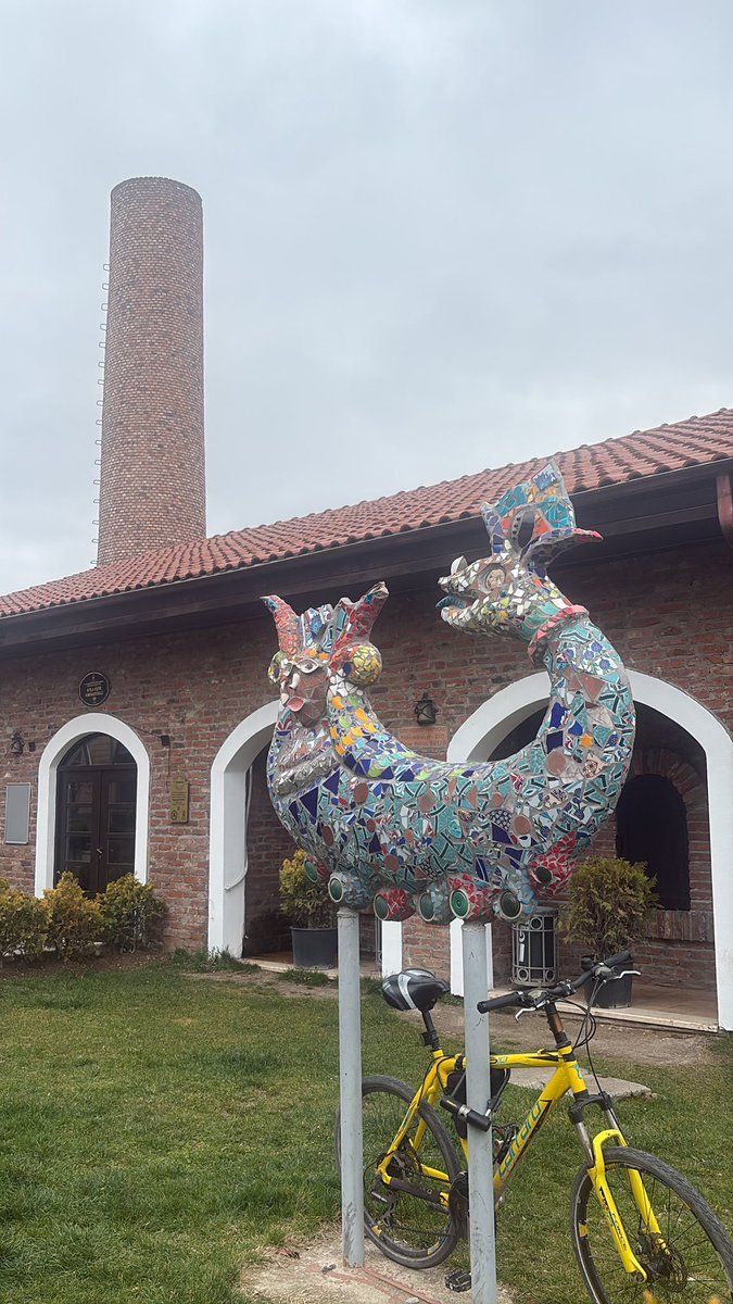 Mr. Cassandra tweet media